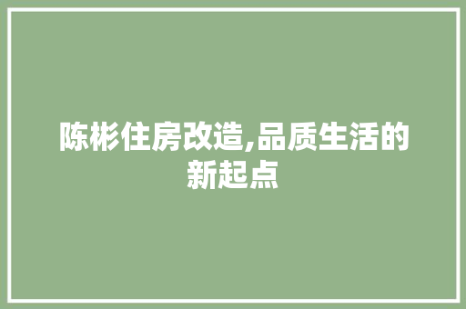陈彬住房改造,品质生活的新起点