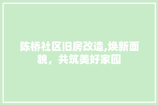 陈桥社区旧房改造,焕新面貌，共筑美好家园