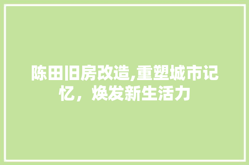 陈田旧房改造,重塑城市记忆，焕发新生活力