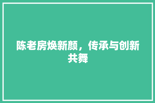 陈老房焕新颜，传承与创新共舞