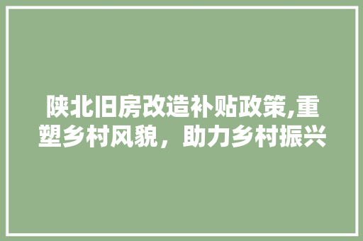 陕北旧房改造补贴政策,重塑乡村风貌，助力乡村振兴