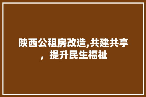 陕西公租房改造,共建共享，提升民生福祉