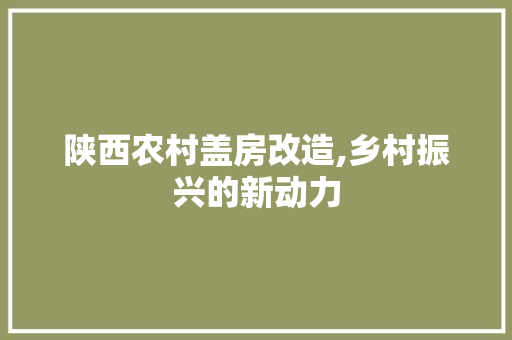 陕西农村盖房改造,乡村振兴的新动力