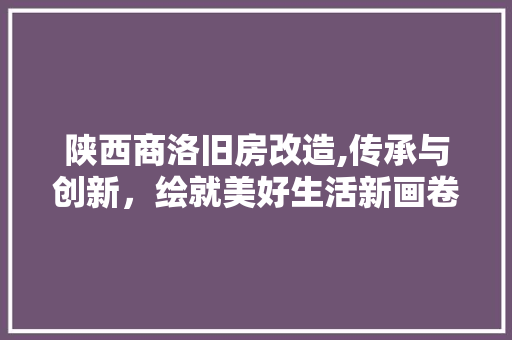 陕西商洛旧房改造,传承与创新，绘就美好生活新画卷