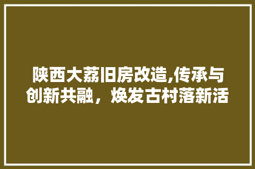 陕西大荔旧房改造,传承与创新共融，焕发古村落新活力