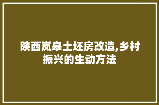 陕西岚皋土坯房改造,乡村振兴的生动方法
