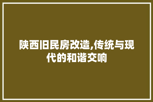 陕西旧民房改造,传统与现代的和谐交响