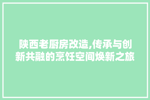 陕西老厨房改造,传承与创新共融的烹饪空间焕新之旅