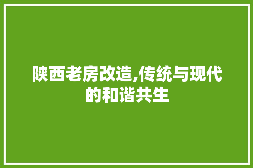 陕西老房改造,传统与现代的和谐共生