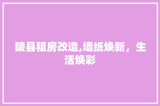 陵县租房改造,墙纸焕新，生活焕彩