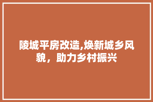 陵城平房改造,焕新城乡风貌，助力乡村振兴