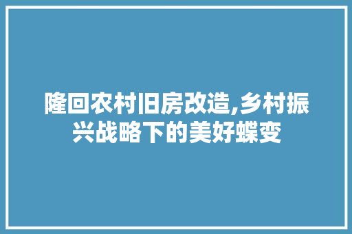 隆回农村旧房改造,乡村振兴战略下的美好蝶变