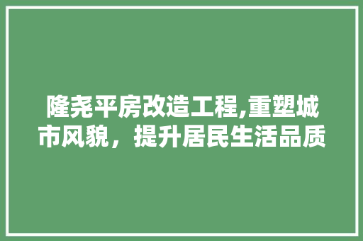 隆尧平房改造工程,重塑城市风貌，提升居民生活品质