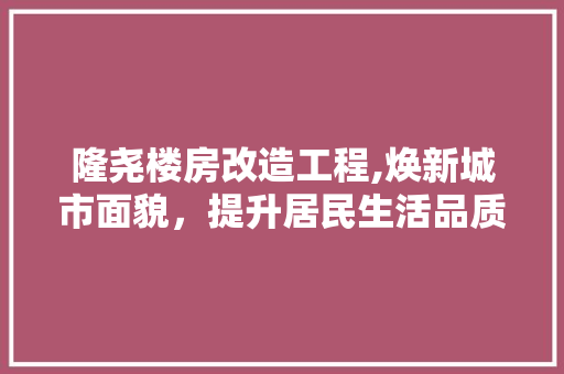 隆尧楼房改造工程,焕新城市面貌，提升居民生活品质