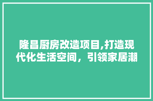 隆昌厨房改造项目,打造现代化生活空间，引领家居潮流