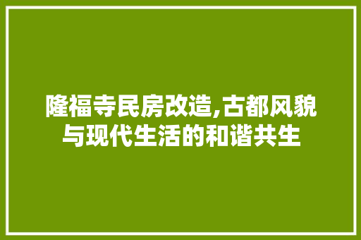 隆福寺民房改造,古都风貌与现代生活的和谐共生