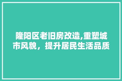 隆阳区老旧房改造,重塑城市风貌，提升居民生活品质 户内维修