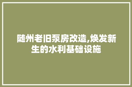 随州老旧泵房改造,焕发新生的水利基础设施