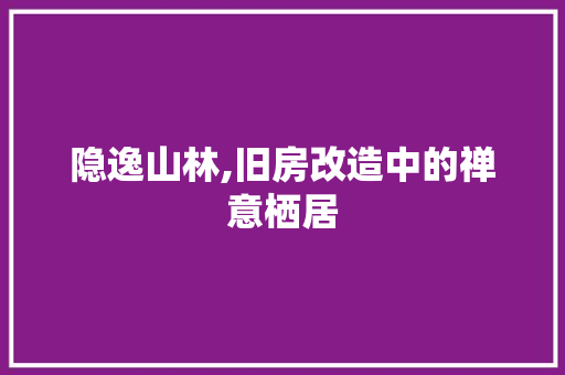 隐逸山林,旧房改造中的禅意栖居