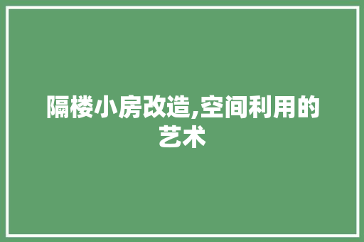 隔楼小房改造,空间利用的艺术