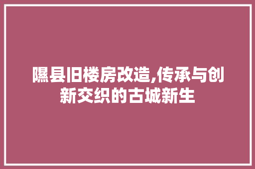 隰县旧楼房改造,传承与创新交织的古城新生
