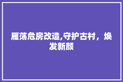 雁荡危房改造,守护古村，焕发新颜