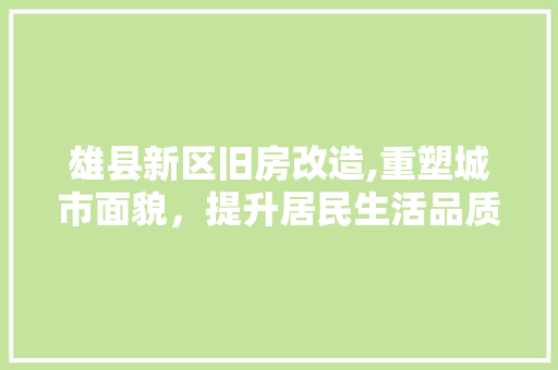 雄县新区旧房改造,重塑城市面貌，提升居民生活品质