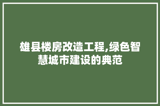 雄县楼房改造工程,绿色智慧城市建设的典范