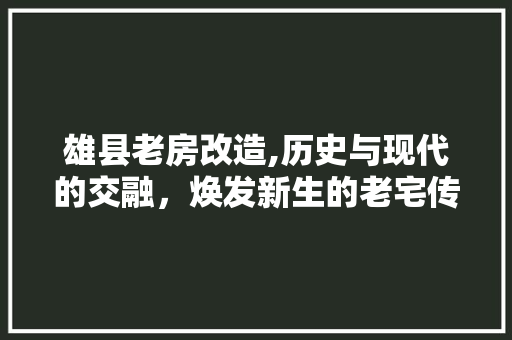 雄县老房改造,历史与现代的交融，焕发新生的老宅传奇