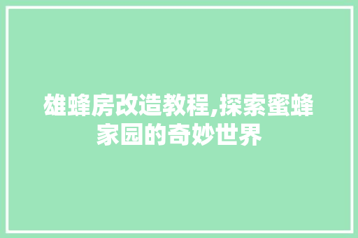 雄蜂房改造教程,探索蜜蜂家园的奇妙世界