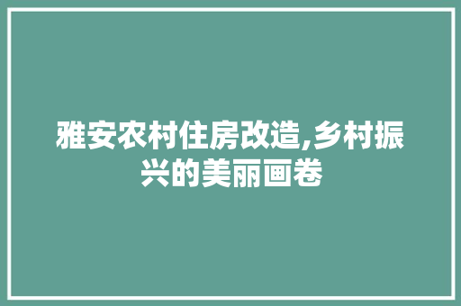 雅安农村住房改造,乡村振兴的美丽画卷