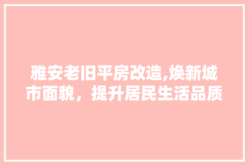 雅安老旧平房改造,焕新城市面貌，提升居民生活品质