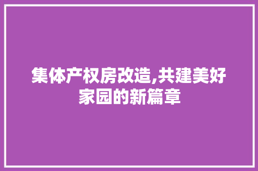 集体产权房改造,共建美好家园的新篇章