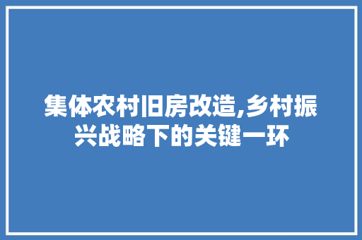 集体农村旧房改造,乡村振兴战略下的关键一环
