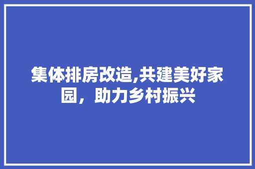 集体排房改造,共建美好家园，助力乡村振兴