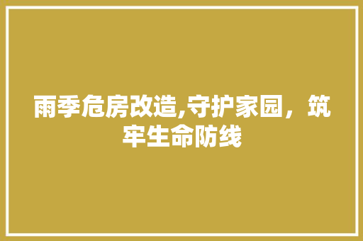雨季危房改造,守护家园，筑牢生命防线