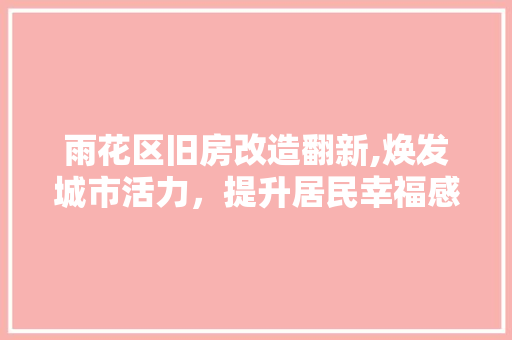 雨花区旧房改造翻新,焕发城市活力，提升居民幸福感