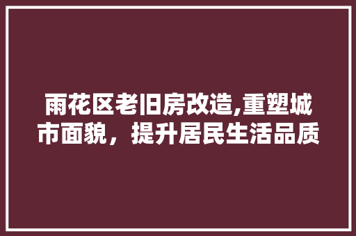 雨花区老旧房改造,重塑城市面貌，提升居民生活品质