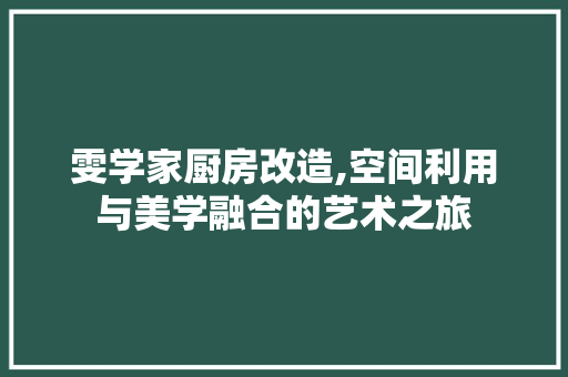 雯学家厨房改造,空间利用与美学融合的艺术之旅