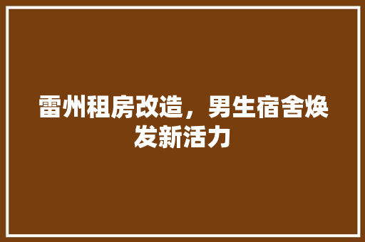 雷州租房改造，男生宿舍焕发新活力