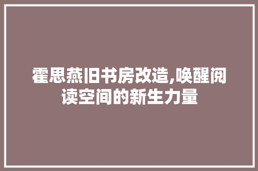 霍思燕旧书房改造,唤醒阅读空间的新生力量