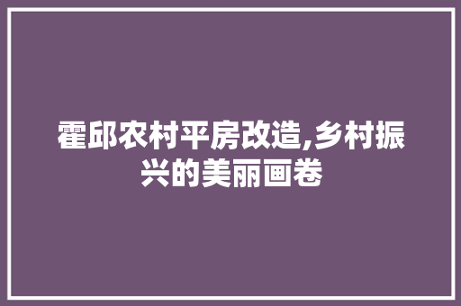 霍邱农村平房改造,乡村振兴的美丽画卷