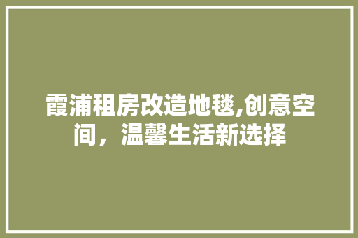 霞浦租房改造地毯,创意空间，温馨生活新选择