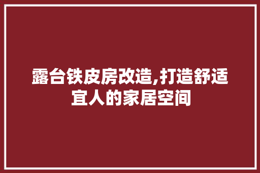 露台铁皮房改造,打造舒适宜人的家居空间