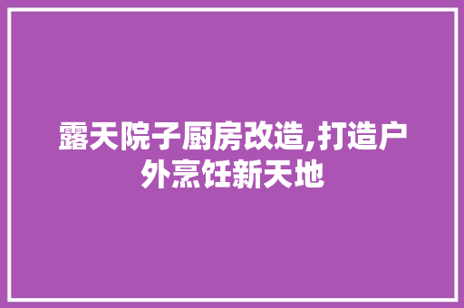 露天院子厨房改造,打造户外烹饪新天地