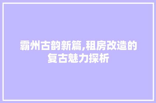 霸州古韵新篇,租房改造的复古魅力探析