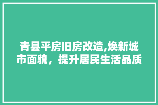 青县平房旧房改造,焕新城市面貌，提升居民生活品质