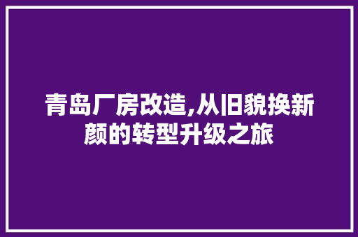 青岛厂房改造,从旧貌换新颜的转型升级之旅 厨房维修