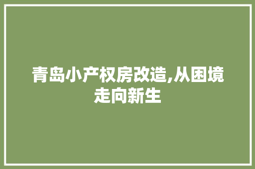 青岛小产权房改造,从困境走向新生