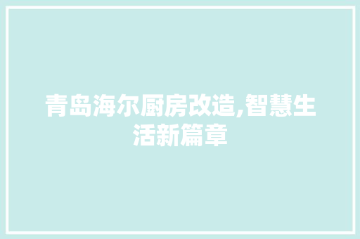 青岛海尔厨房改造,智慧生活新篇章
